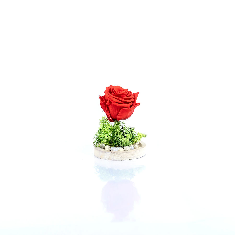 Miniature : Roses Stabilisées