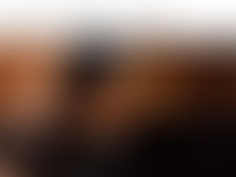 サントリーバーナビ