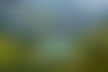 Siamo nati tutti come...