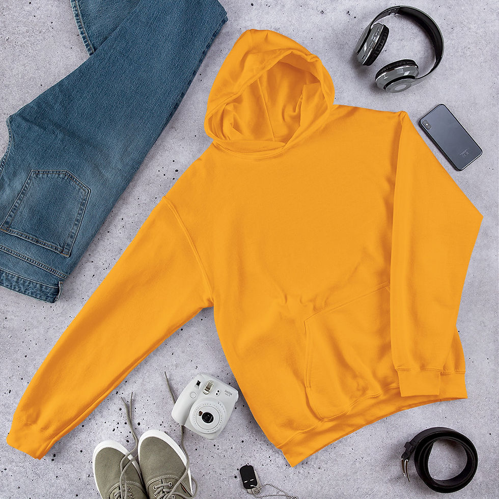 Miniaturbild: HOODIE