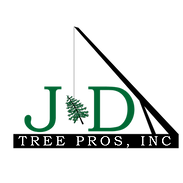 Untitled design (2).png
