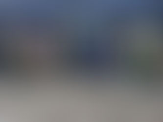 Results 16 Dog Stake - Novice AV Spaniel Field Trial