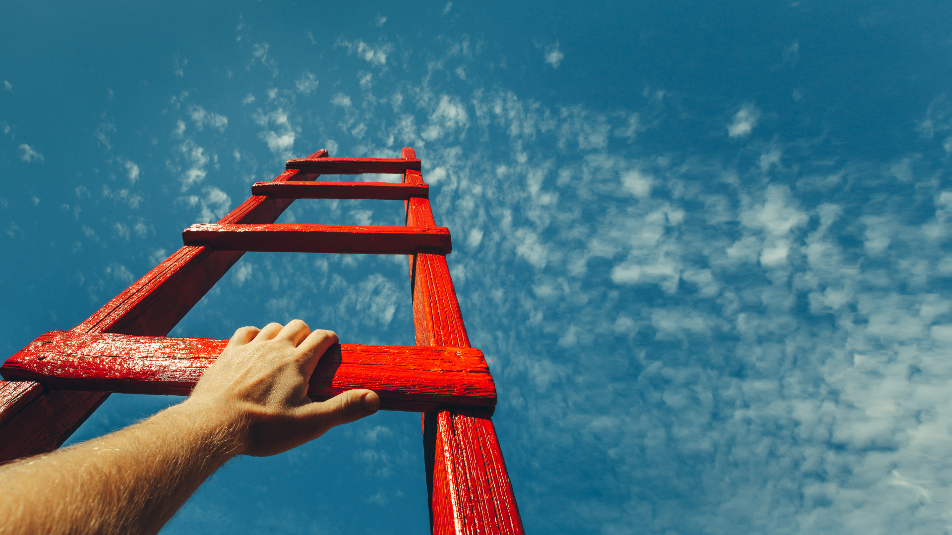 Jason Rhodes Ladder DONATE NOW! | Jason S Ladder Minis