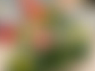 開業して１周年を迎えました