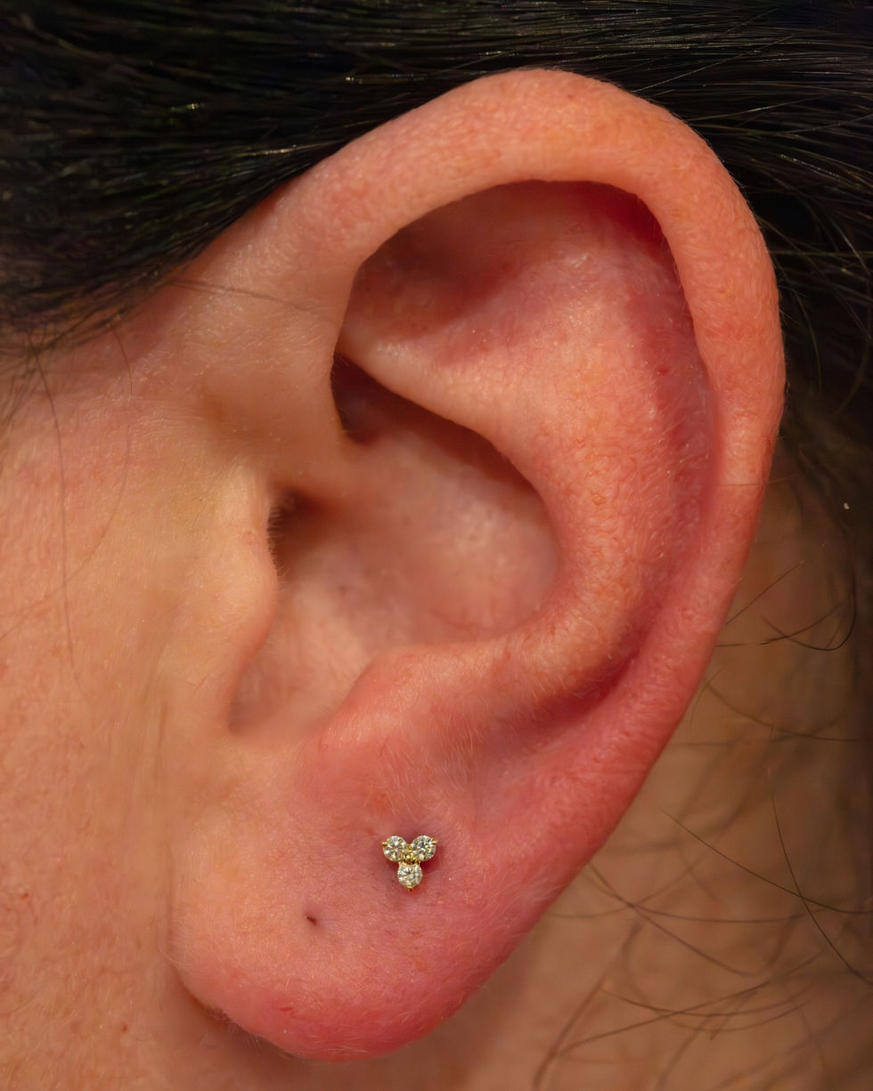 lobe done with 14k yellow gold three gem piercing jewellery auckland