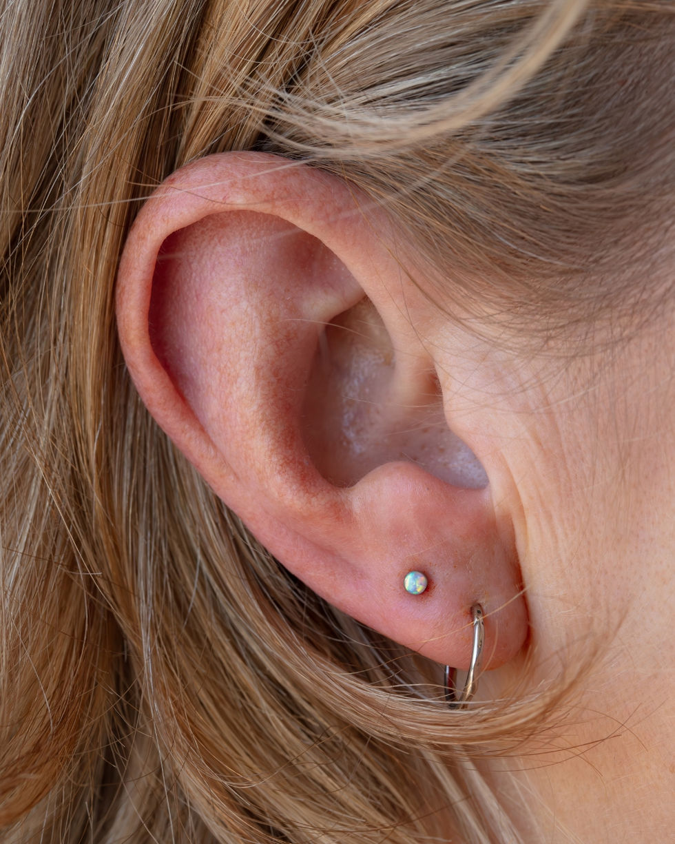 upper lobe done with implant grade titanium piercing jewellery in auckland