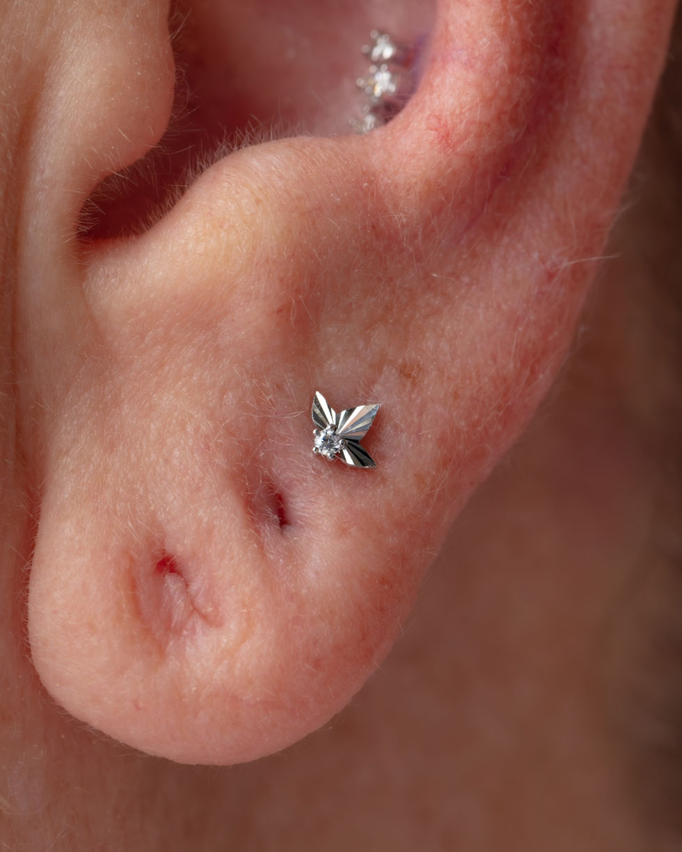 upper lobe done with 14k white gold piercing jewellery in auckland