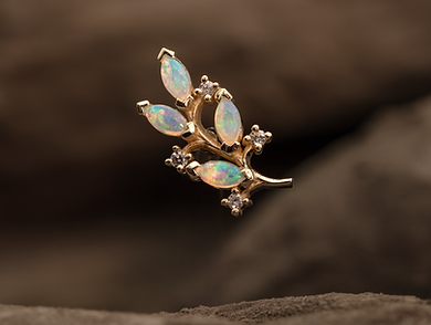 Ear Portfolio 1-20.png