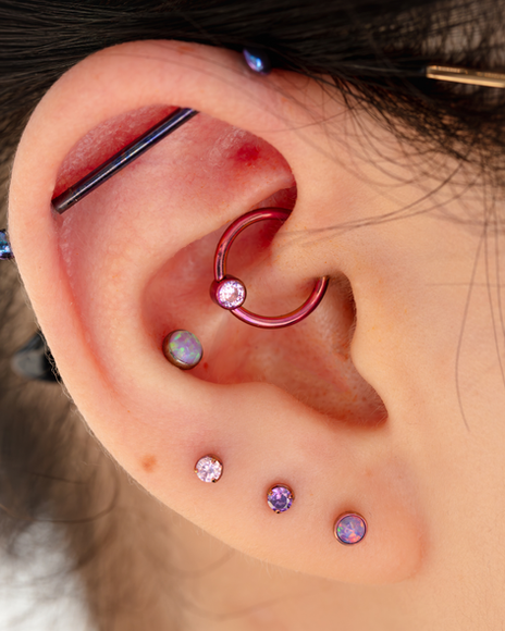 Daith piercing done in auckland by platinum point piercing with implant grade titanium jewellery