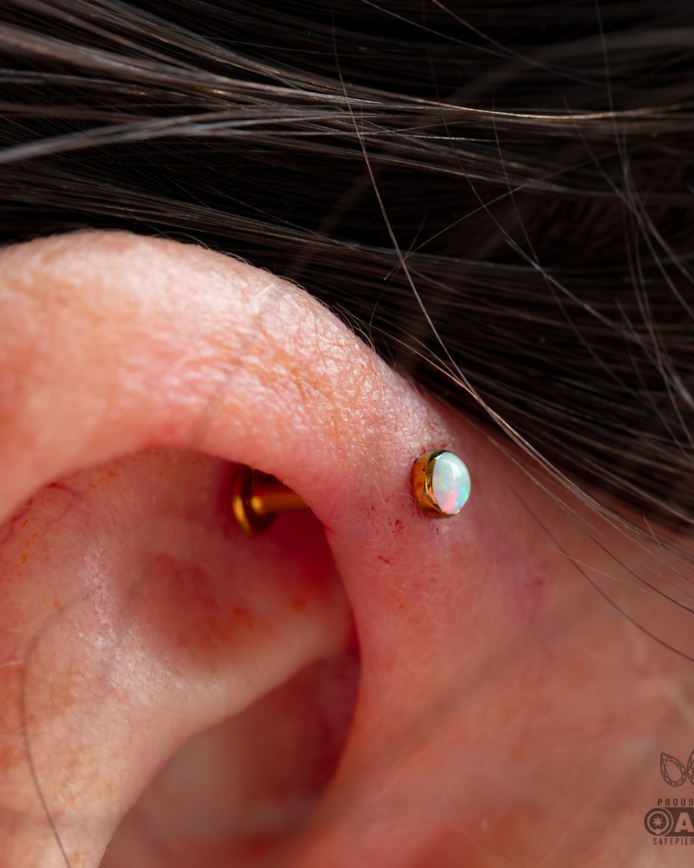 Piercing Aftercare & Healing in Auckland: Why Safety Standards Matter