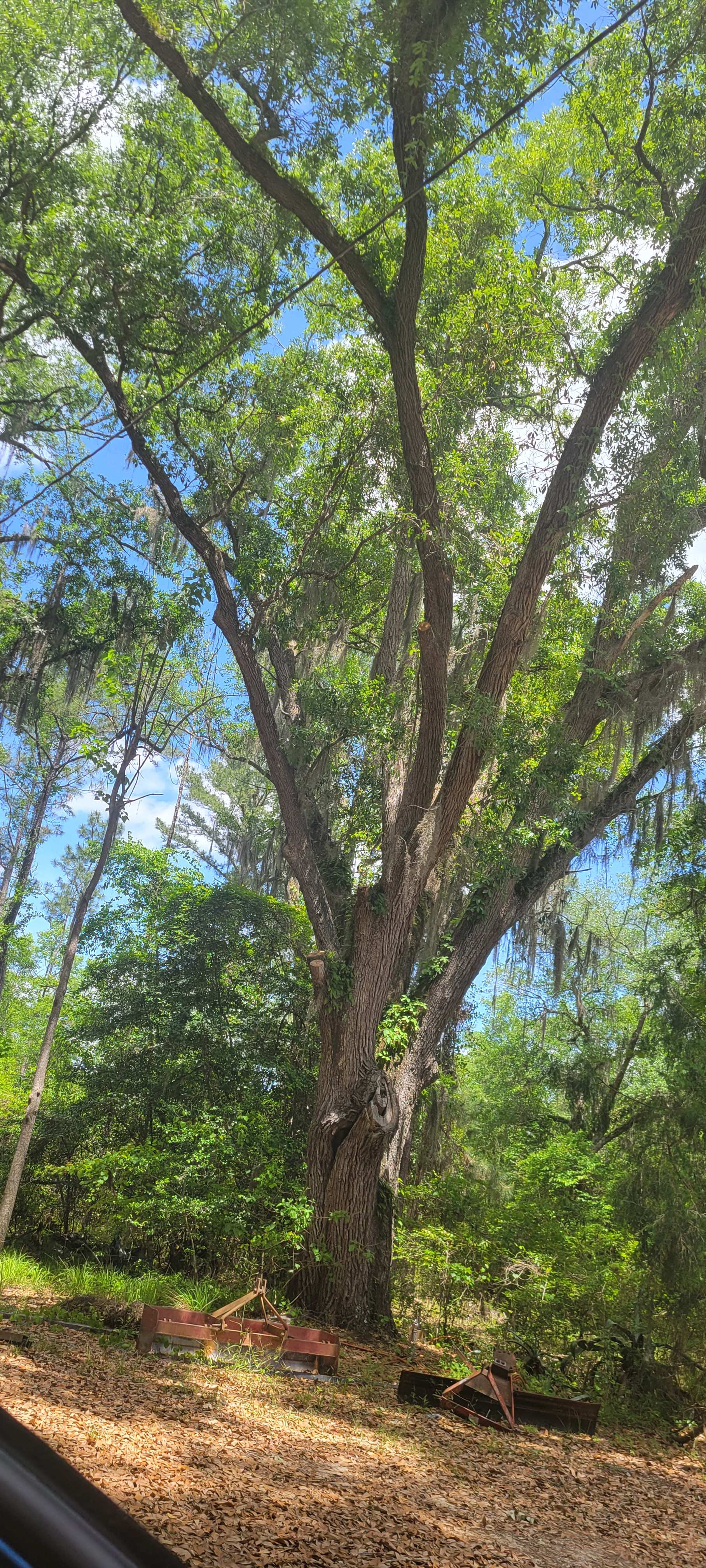 Mossy Oak RV Park - Photo 2