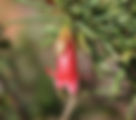 ShowImage (1).jpeg
