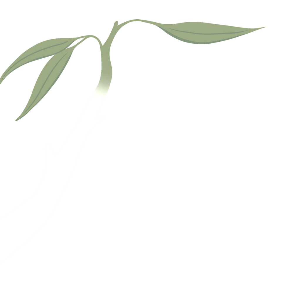 Ghost Gum Graphic_edited.png