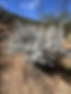 ShowImage (1).jpeg