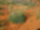 ShowImage (1).jpeg
