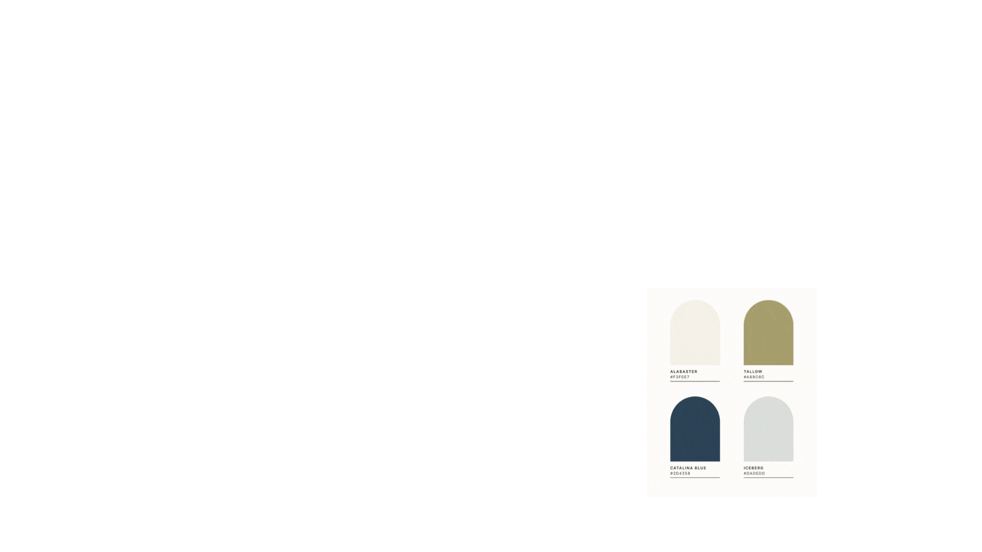 Sunday Signature Brand Guide.gif