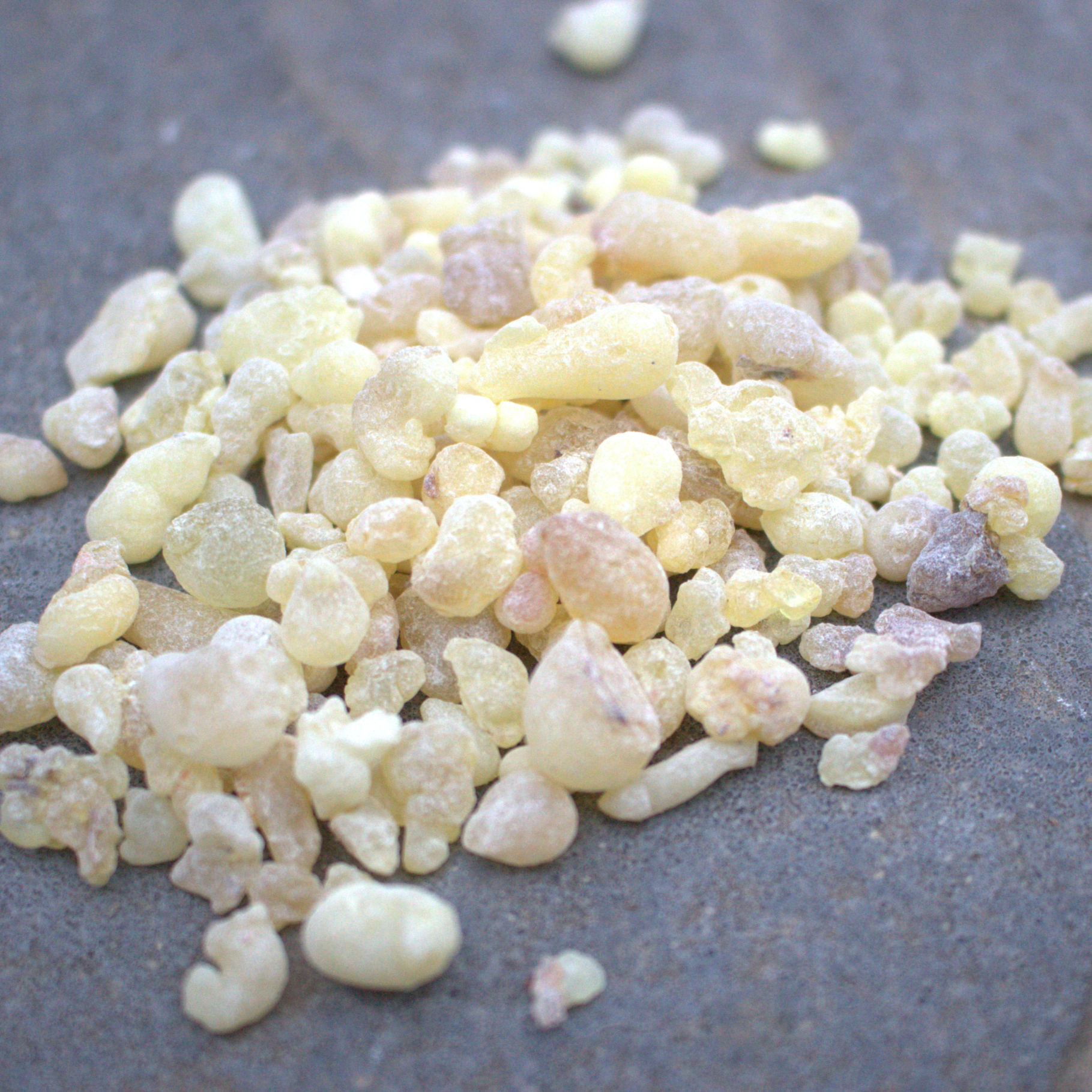 Frankincense Resin Oil