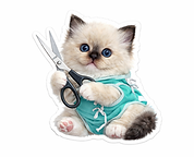 3F15AEDF-D8A4-4BEC-9751-8055857D73E1 (1).PNG