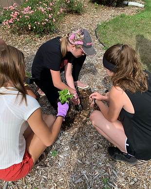 YG Plant Flowers.2.jpeg
