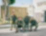 israel_031.jpg