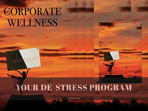 Corporate brochures.002.jpeg