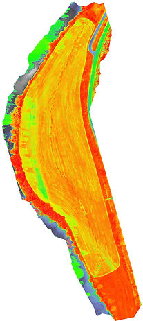 Mapping: Corn Field Vegetation Index Orthomosaic