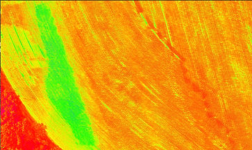 Mapping: Corn Field Vegetation Index Orthomosaic Closeup