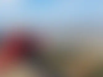 招待選手ご案内