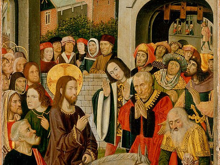 Palm Sunday, Year A (2026) - Fr Robert Krishna, OP