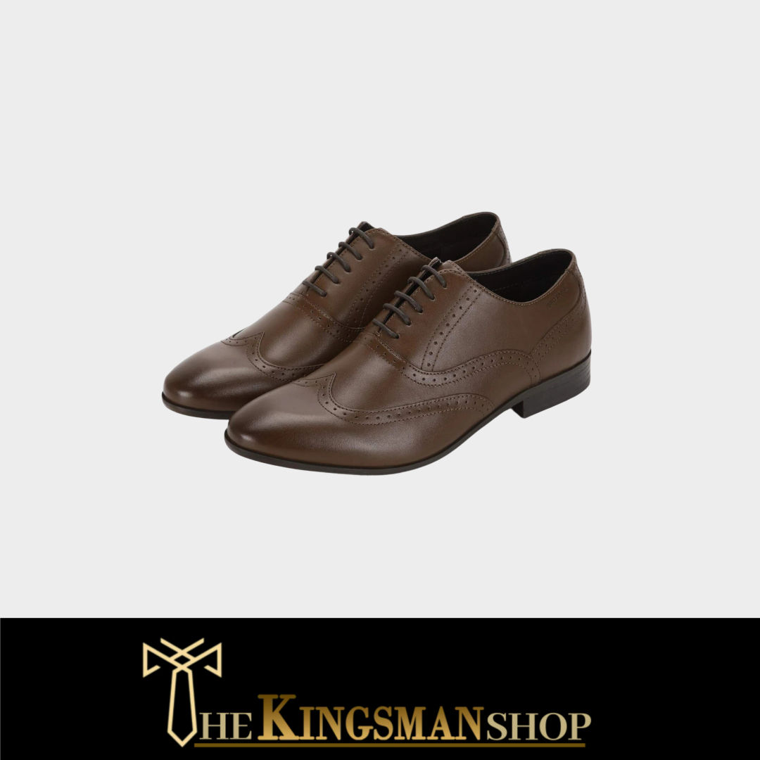 Cocoa Brown C-12 KC819347