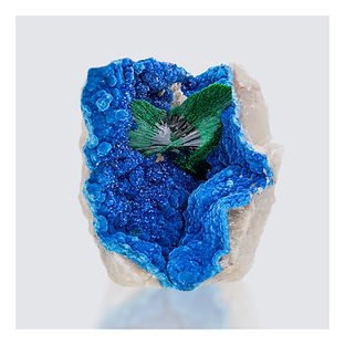 FM26 Image - SF Border Crop White Ferris Malachite.jpg