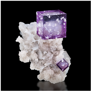 FM26 Image - Perfect Purple YGX Black.png