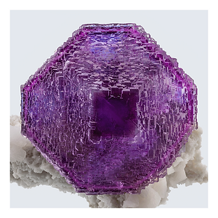 FM26 Image - Shangbao Ikon Macro Small File.png