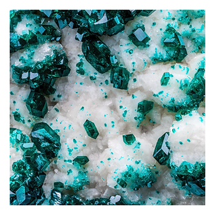 FM25 Image - Dioptase Macro Border SMALL FILE.png
