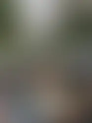 Уличный фестиваль BuskersÀMorges 2025 в Морже