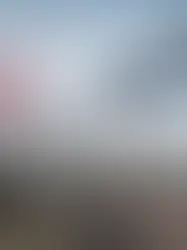 Швейцарская авиакомпания доводит клиентов до отчаяния