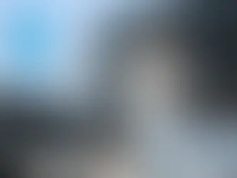 Швейцария решила выплатить свой взнос БАПОР