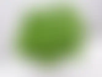 Три совета по выращиванию ароматных растений в домашних условиях