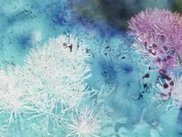 Выставка работ художницы Майи Роша Action will follow vision в Грюйере