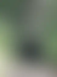 Завершается реконструкция туннеля Вайсенштайн в Золотурне