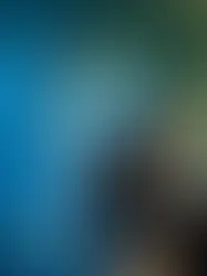 Молодой швейцарец подозревается в двадцати семи угрозах взрыва