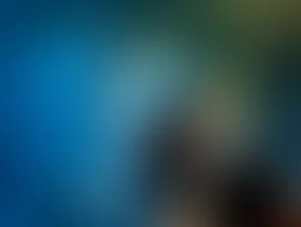 Молодой швейцарец подозревается в двадцати семи угрозах взрыва