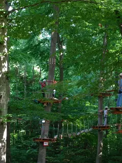 Пять мест вокруг Женевы, где можно отдохнуть всей семьёй