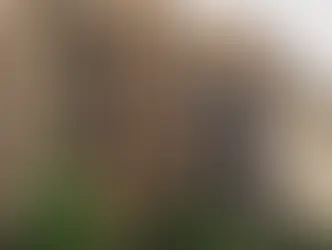 Тысячам швейцарских арендаторов грозит расторжение договоров аренды