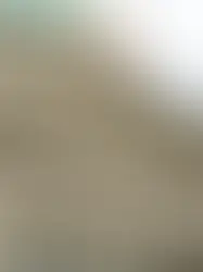 Федеральный совет рассматривает предложение о введении налога на специалистов из третьих стран