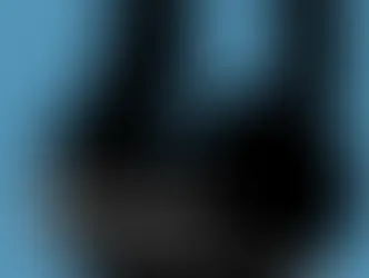 Выставка находок с блошиных рынков коллекционера Камиллы Лихтенштерн