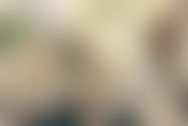 Женеву ждёт трёхдневная забастовка в начале июня