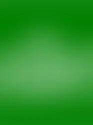 Хамас будет запрещен в Швейцарии с 15 мая 2025 года