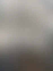 Прецедент на Карл-Фогт может стать началом волны выселений в Женеве