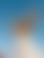 Международный фестиваль сакральной музыки во Фрибурге